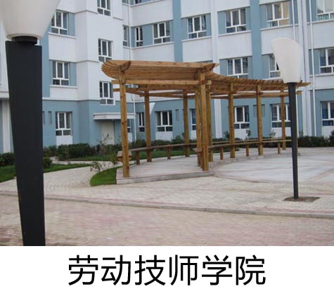 劳动技师学院